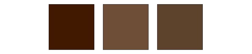 Dark Academia Color Palette.jpg