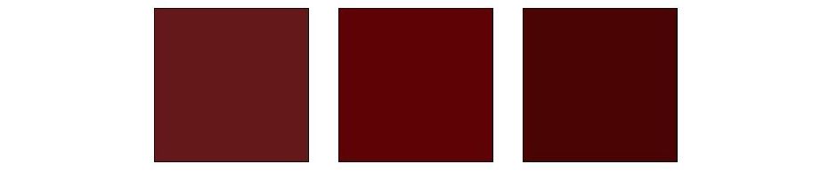 Dark Academia Color Palette (2).jpg
