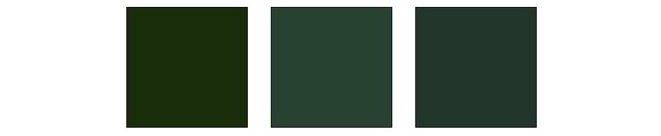 Dark Academia Color Palette copy 2.jpg