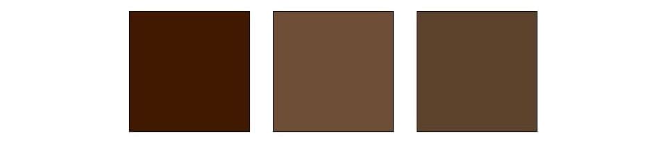 Dark Academia Color Palette.jpg