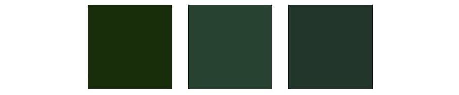 Dark Academia Color Palette copy 2.jpg